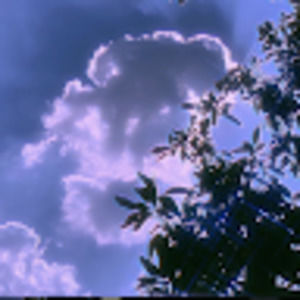 Meet your Posher, Deanna